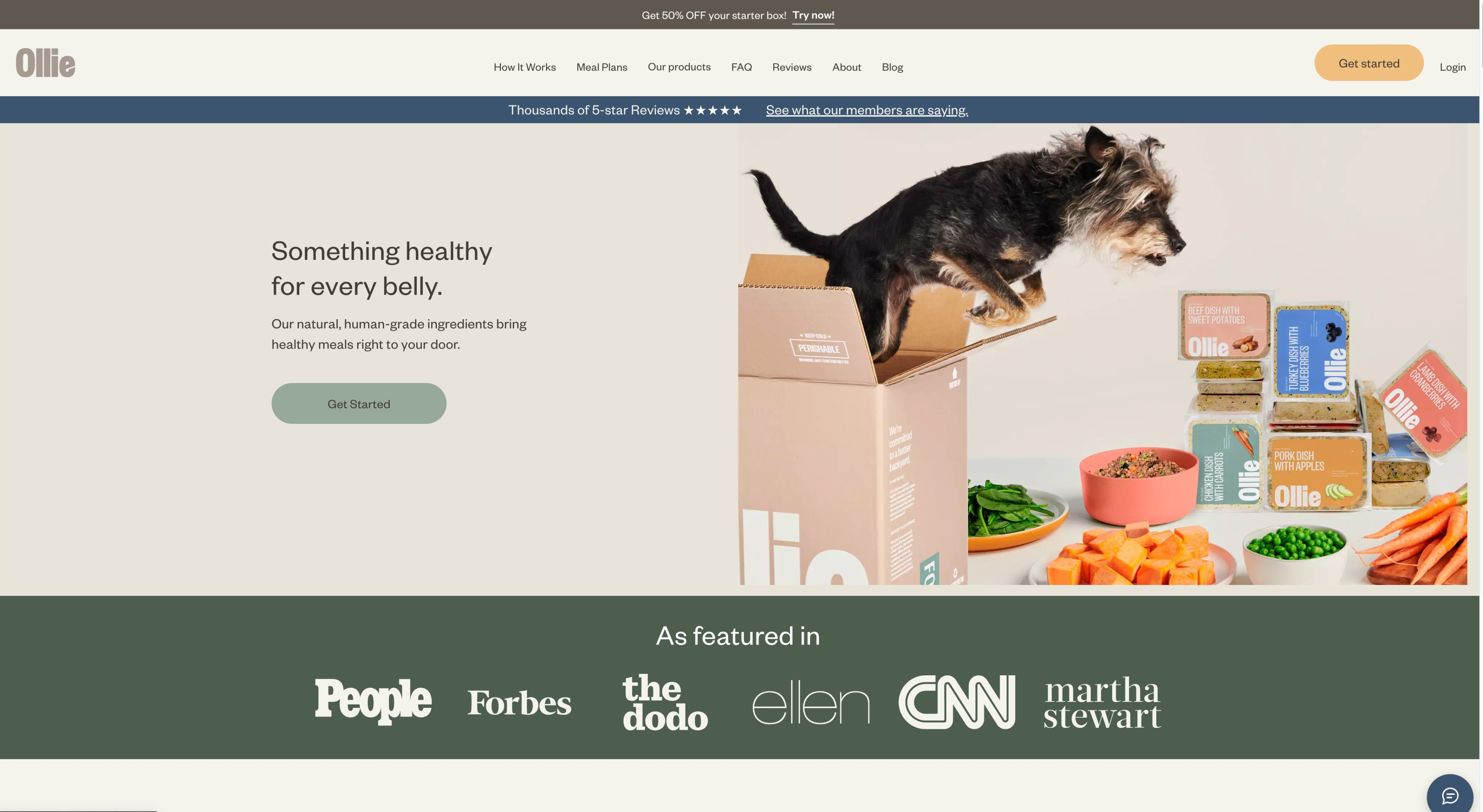 Screenshot of Ollie
